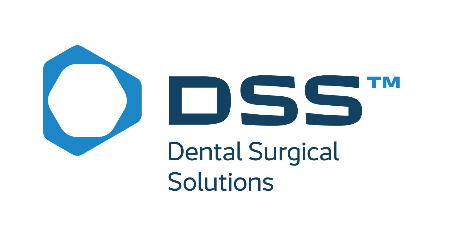logo DSS-04
